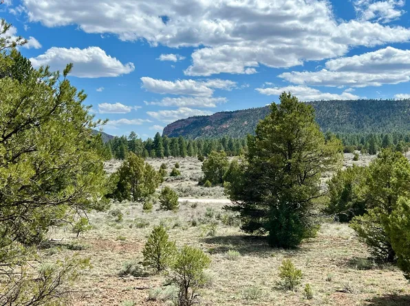 5 Sagebrush Rd, Ramah, NM 87321