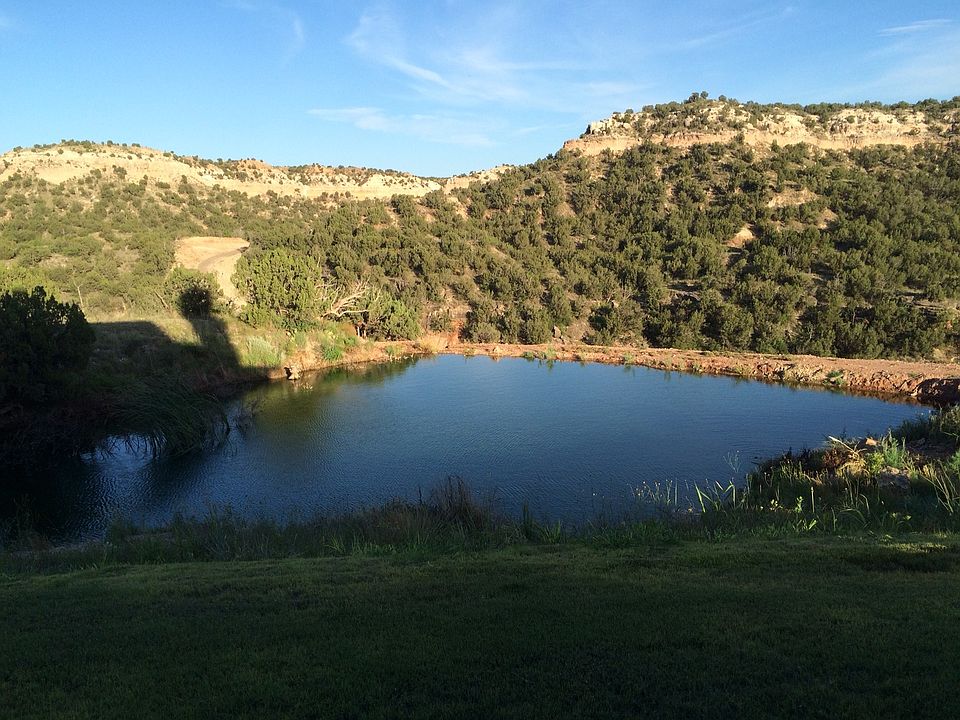 Back Pond