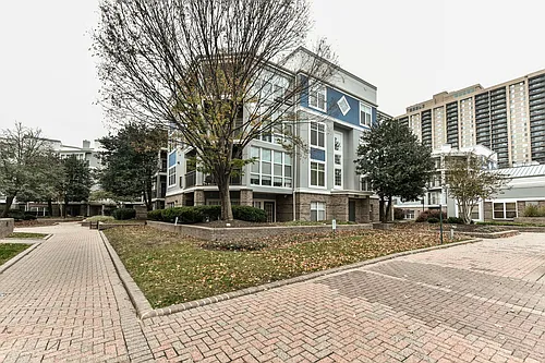 5565 Seminary Rd #403 Photo 1
