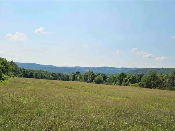 0 Benjamin Hill Rd, Newfield, NY 14867