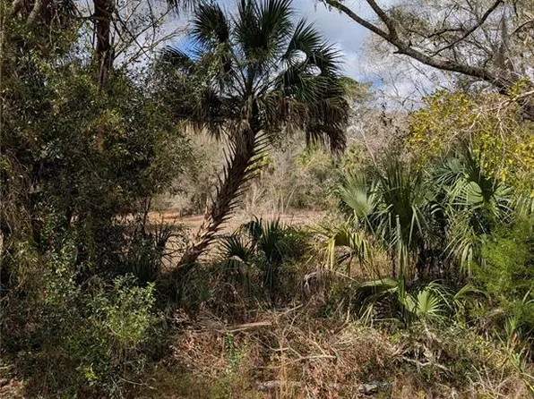 Lorie St Lot 16, Inglis, FL 34449