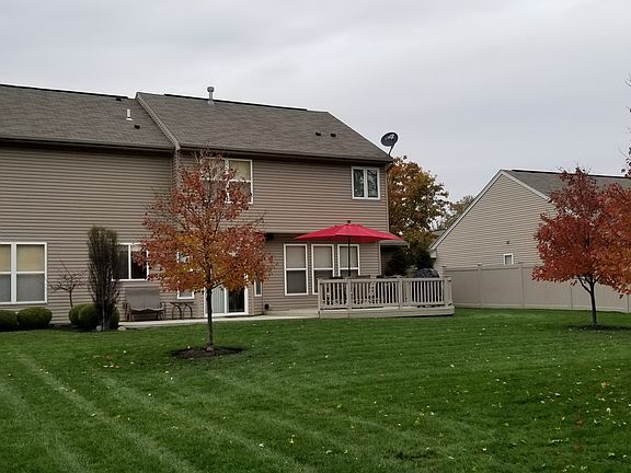 Back yard