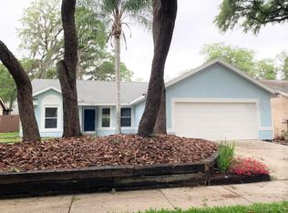 4125 Moreland Dr, Valrico, FL 33596