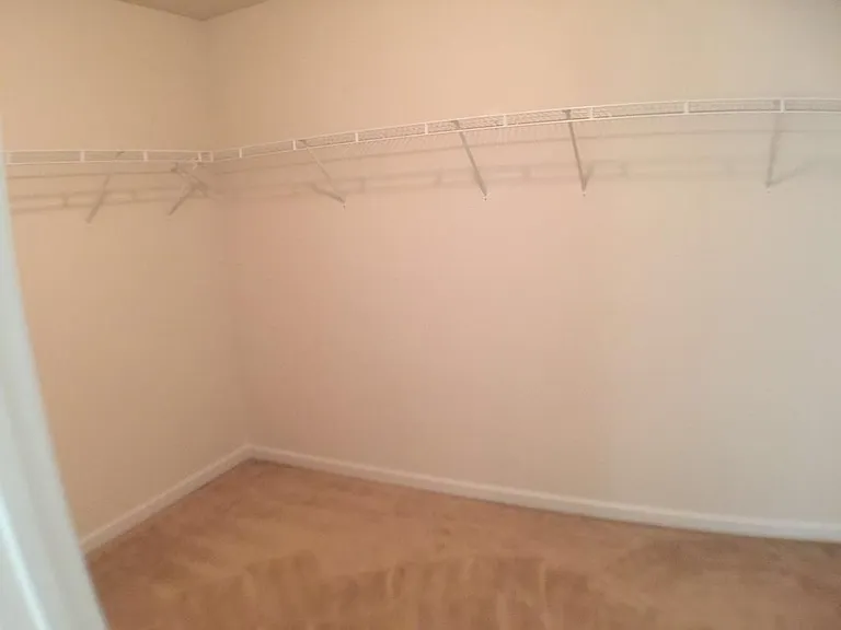 1844 Tulip Petal Rd — Photo 9