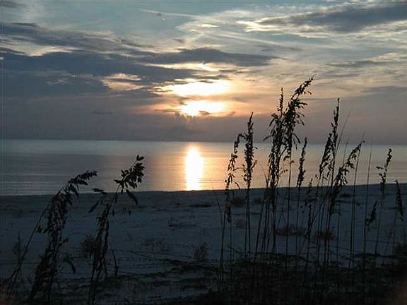 3rd image of White Sands Dr