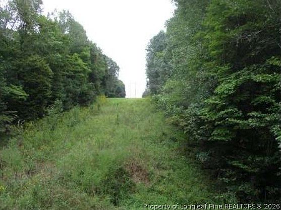 5th image of 6700 Cass Holt Rd