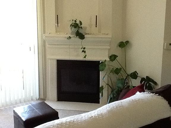 Living Room Fireplace