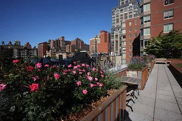 Rented by The Monterey