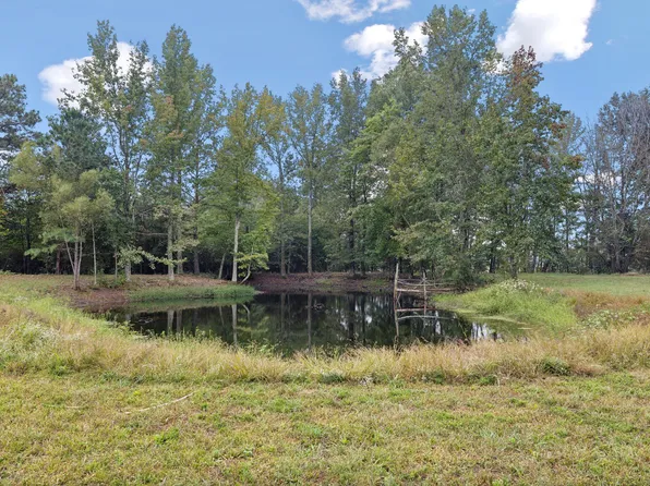 9138 Highway 20, Summertown, TN 38483