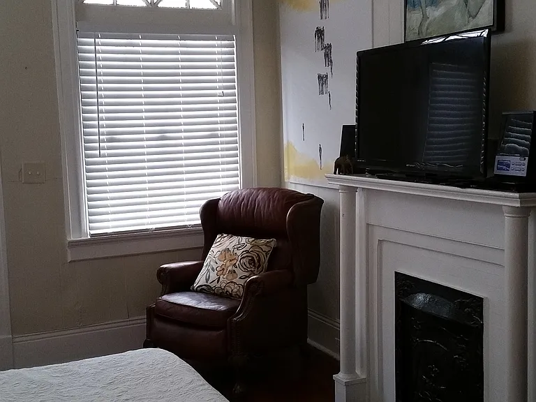 3133 Dauphine St — Photo 12