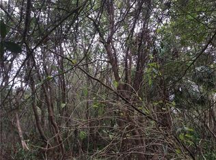 San Rafael St, Cassadaga, FL 32744