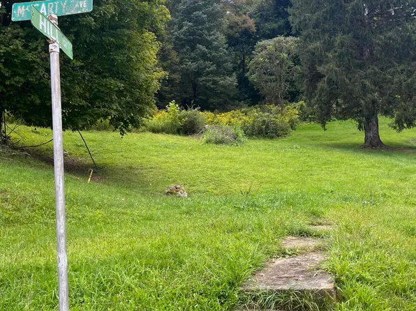 McCarty St, Richwood, WV 26261
