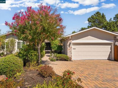 440 Walnut Ave, Walnut Creek, CA, 94598