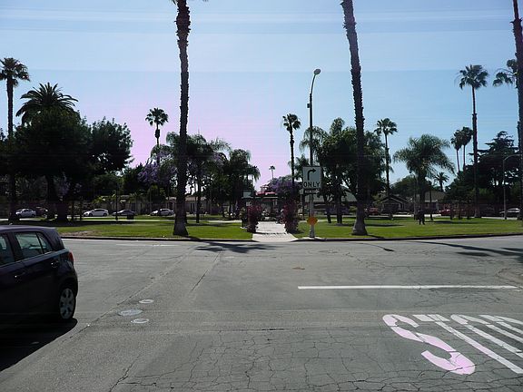 Rose Park Outside Your Door