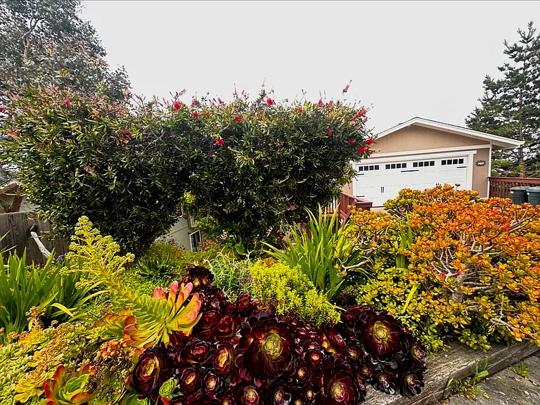 Front of the house facing top street on a quiet neighborhood with beautiful homes, lined with trees and flowers and plenty of free street parking
