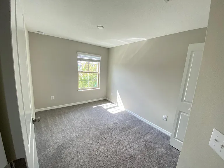 3810 Cat Mint St — Photo 15
