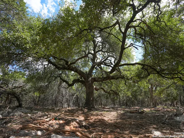 330 rayner ranch LOT 25, Spring Branch, TX 78070