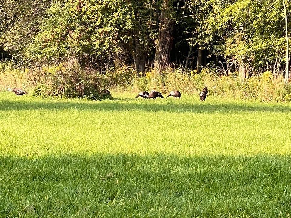 1st image of 0 Harrington Rd