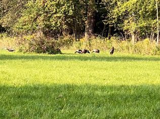 0 Harrington Rd, Croswell, MI 48422