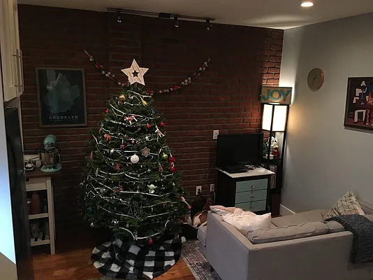 Rented by Clove Realty LLC | media 14