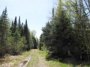 40 Acres Thousand Hills Rd, Finland, MN 55603