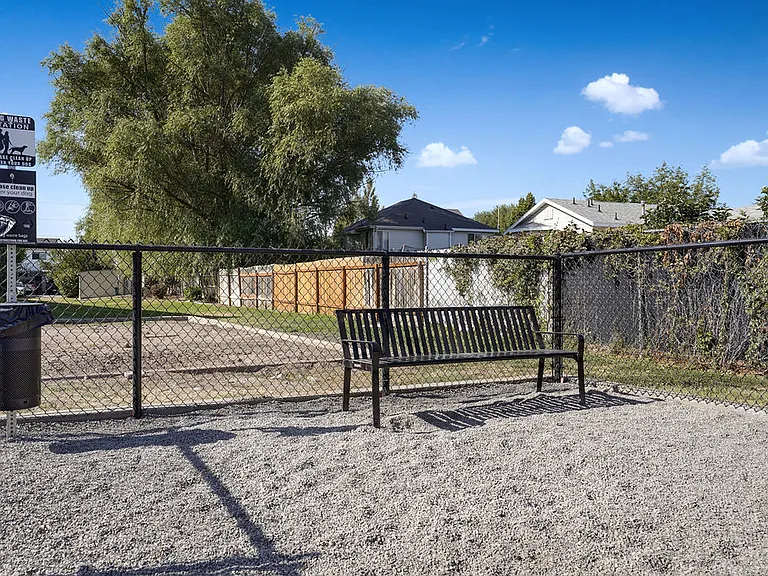 Dog Park