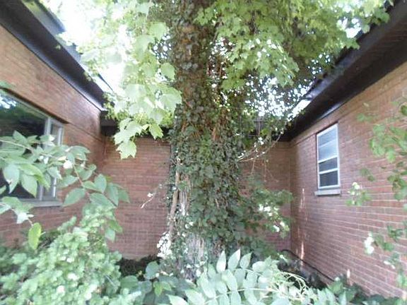 2nd image of 6 Elmore St