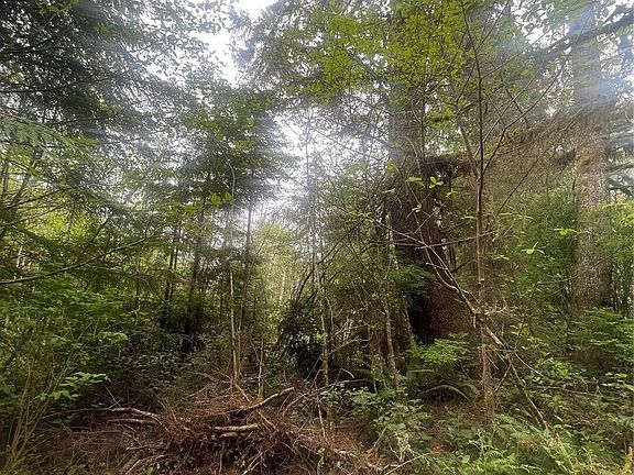5th image of 0 Lot 42 Bay Lane