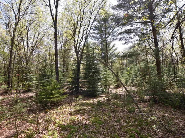 Apache Ct, Pine River, WI 54965