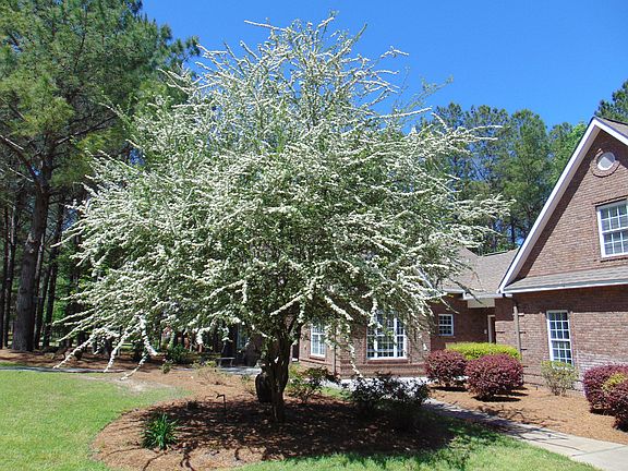 2nd image of 20 Meadow Ln