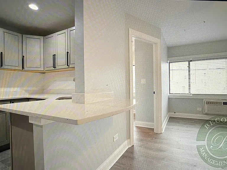 6826 N Ridge Ave #102 — Photo 4