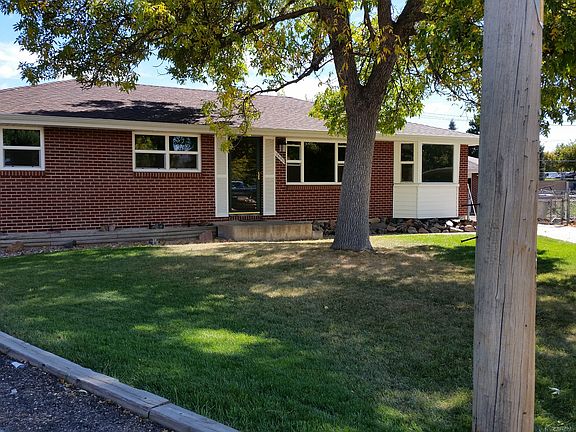 Wonderful Shade Trees