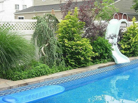 2nd image of 62 Tulipwood Dr