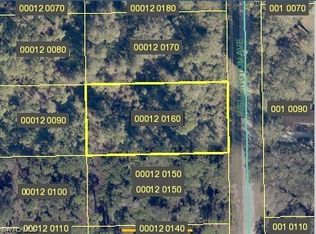 2007 Wellington Ave, Alva, FL 33920