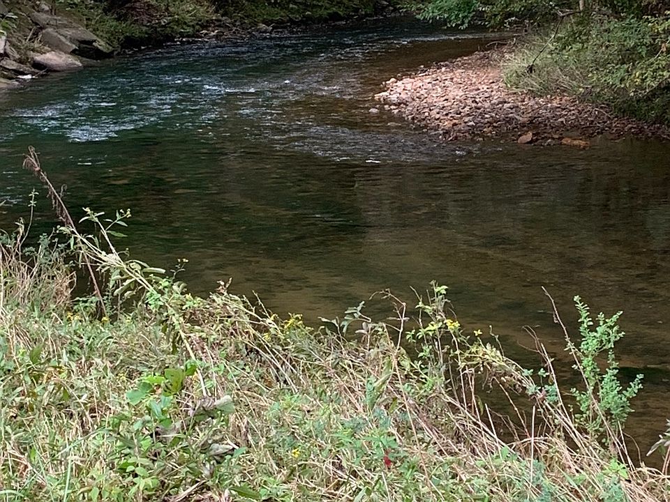 2nd image of 7229 Gum Log Rd