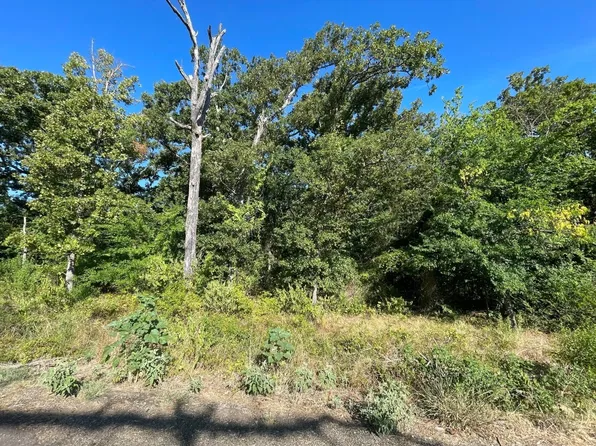 0 Nelson St, Sulphur Springs, TX 75482