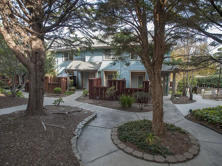 Pacific Vista — Photo 14