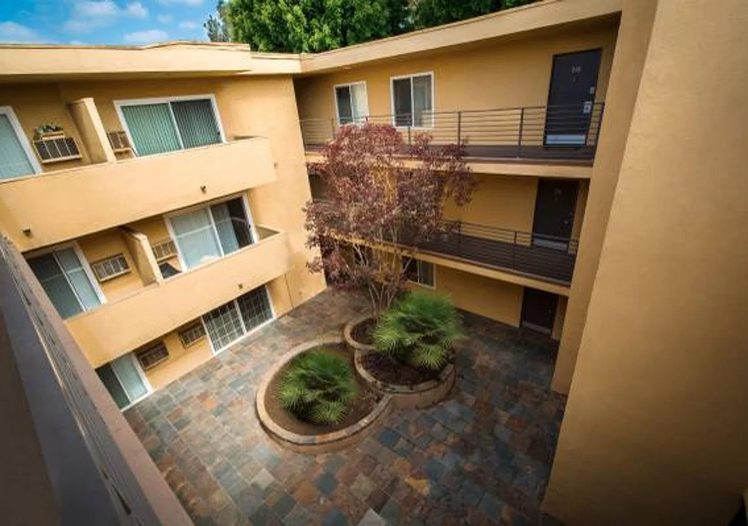 Hollywood Colony — Photo 2