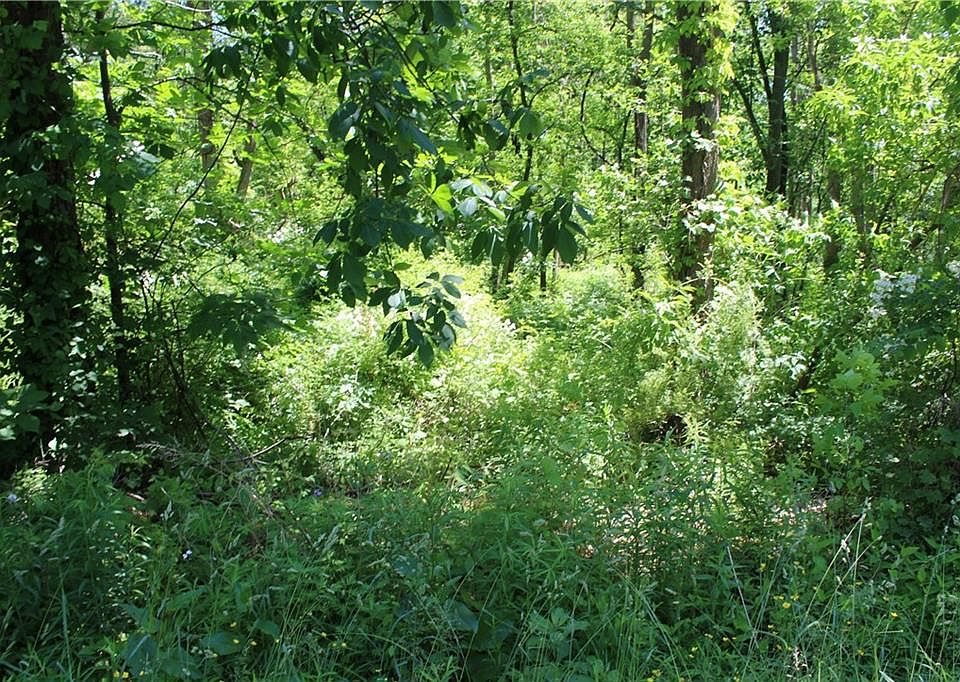 2nd image of 158 Webster Rd