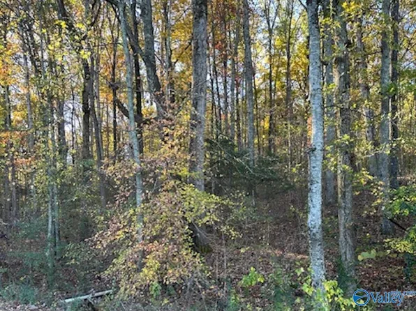 129 S Price Mountain Dr, Decatur, AL 35603