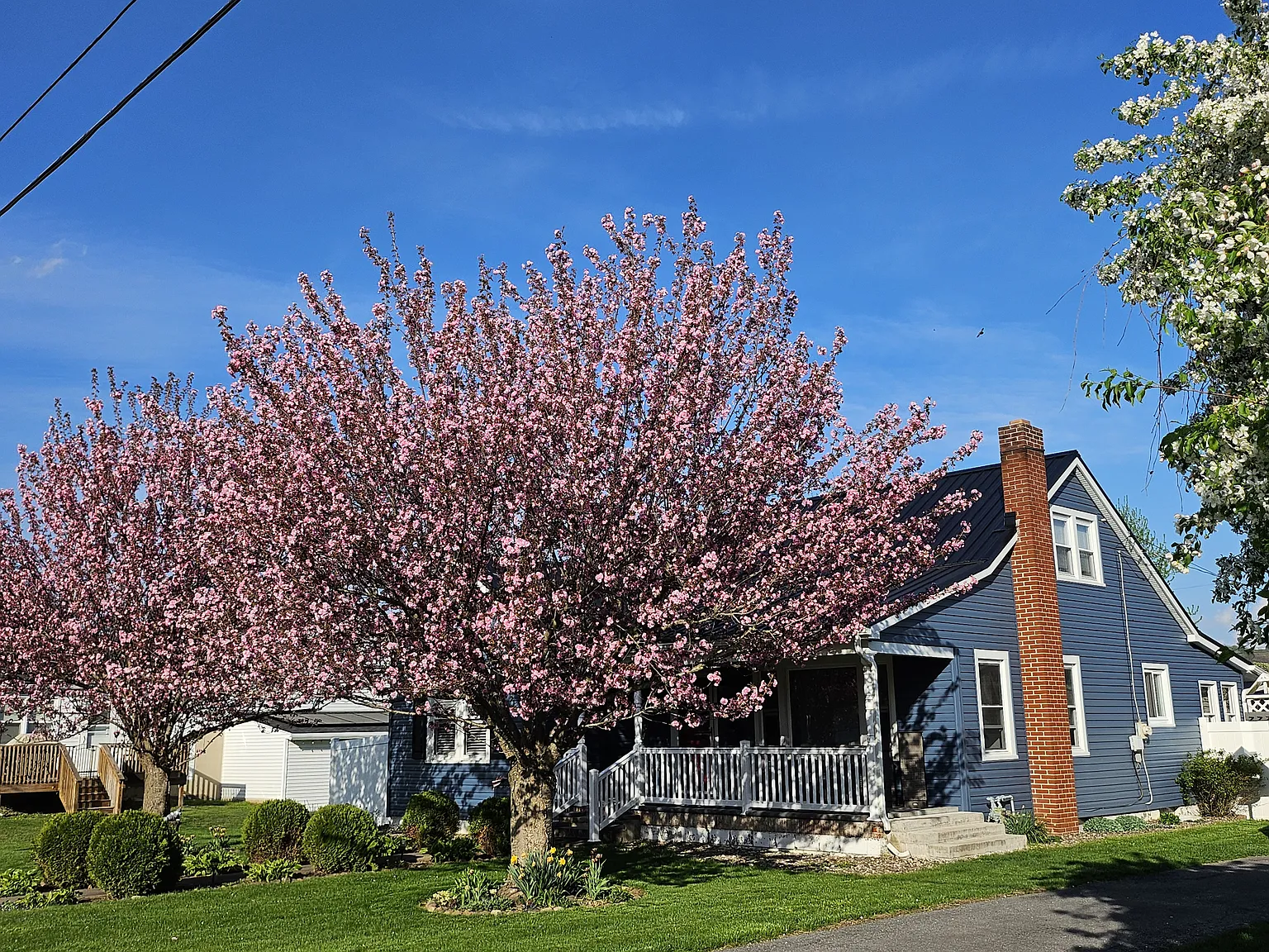3 bed, 1.5 bath, 1800 sqft, $2,000 — Photo 1