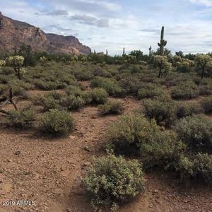 0 S Tonto Vw LOT 3, Gold Canyon, AZ, 85118