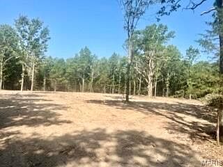 3rd image of TRACT 1 & 2 West Hwy #32