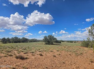 144 N COUNTY ROAD 9027 -- #47, Concho, AZ 85924