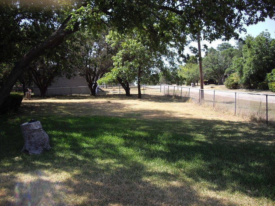 Tree lots big space