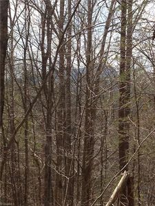 00 Seven Island Rd, Danbury, NC, 27016