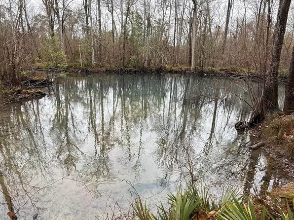 0 Otter Creek Bridge Rd, Ebro, FL 32437