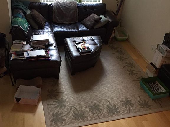 Open floor Livingroom and Kitchen with lots of natural light