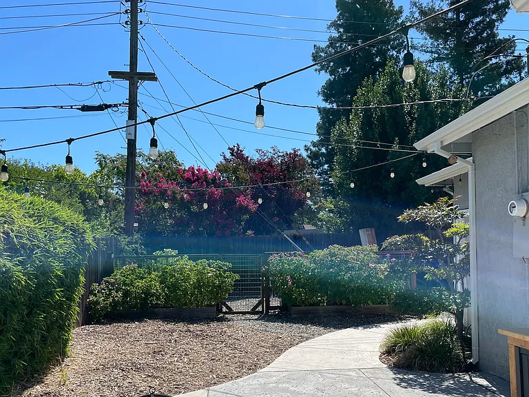 Backyard w/ 4 raised garden beds.