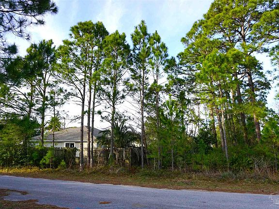 5th image of 4411 Carol Ct